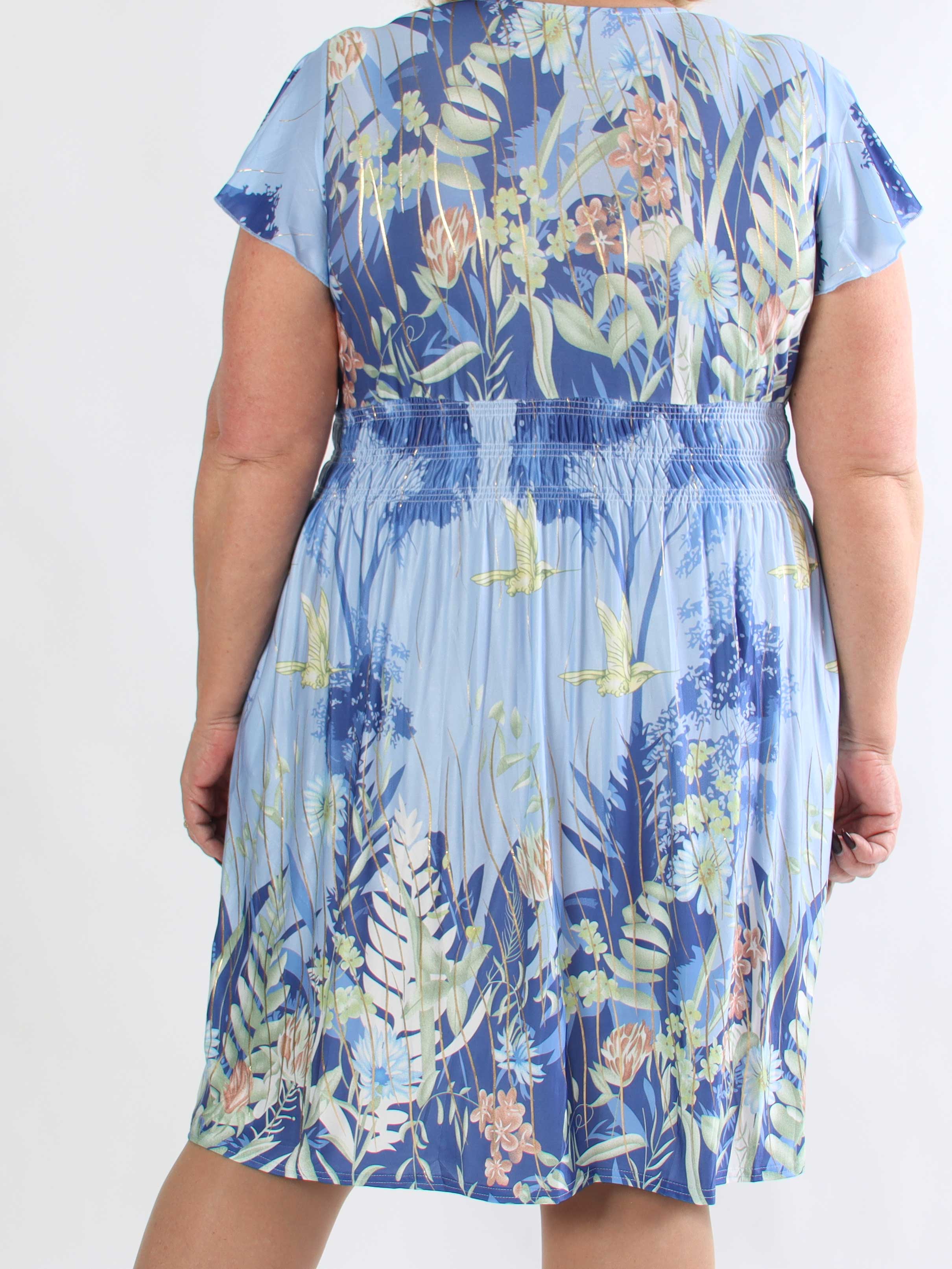 Pams Hummingbird Short - Kort plus size kjole med fuglemotiver og guld detaljer